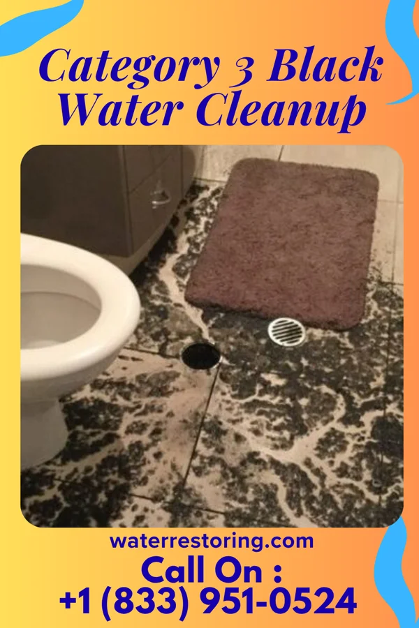 Category 3 Black Water Cleanup in Las Lomitas, TX